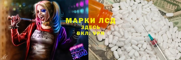 apvp Алзамай