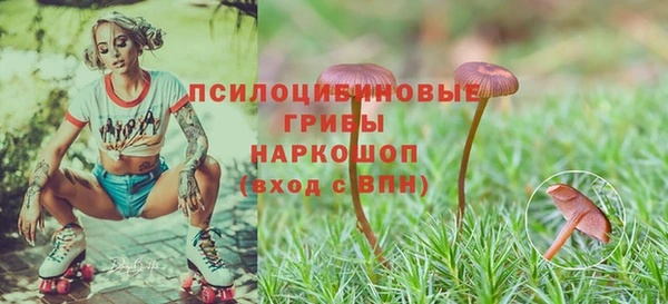 apvp Алзамай