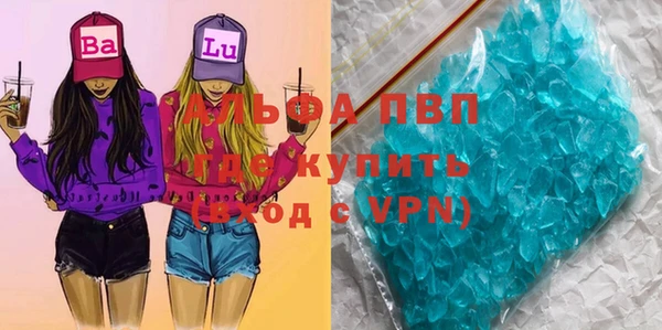 сатива Алексин
