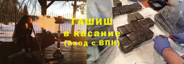 apvp Алзамай