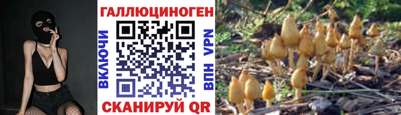 Псилоцибиновые грибы Cubensis  блэк спрут как зайти  Сатка 